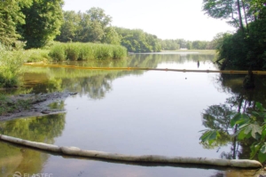 Absorbent boom for spill response