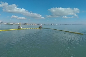 Belt oil skimmer with sweep