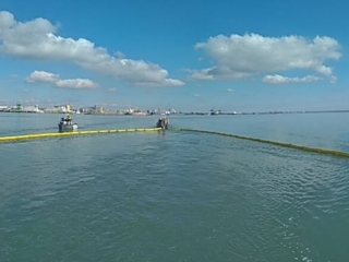 Belt oil skimmer with sweep