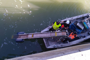 Belt oil skimmer in water