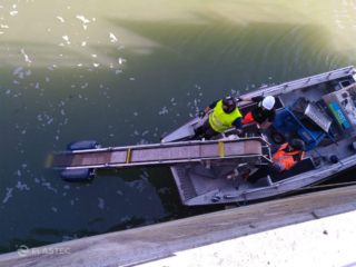 Belt oil skimmer in water