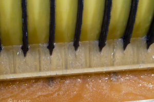 Brush skimmer skimming oil from water