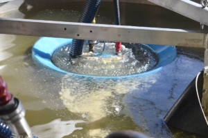Circus oil skimmer with suction weir