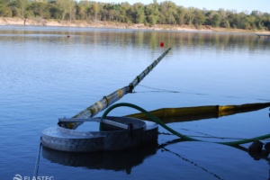Circus weir oil skimmer