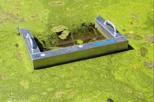 Duck weir skimmer