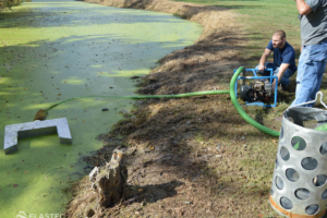 Duckweed removal floating weir skimmer