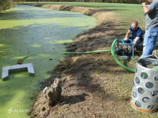 Duckweed removal floating weir skimmer
