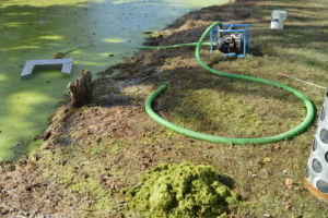 Duckweed removal skimmer