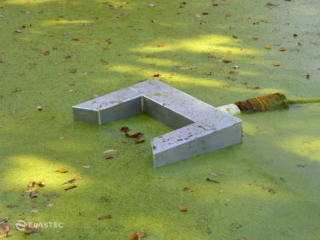 Duckweed skimmer