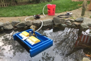 Mini skimmer de aceite Elastec en estanque interior
