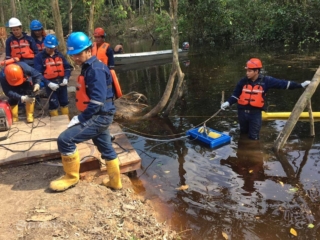 ジャングルのElastecミニスキマー