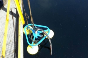 Industrial suction oil skimmer