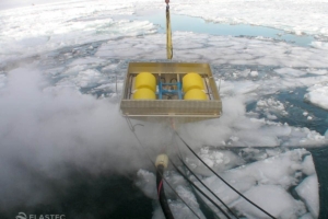 Steam system oil skimmer