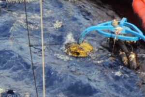 Weir skimmer for oil spill response