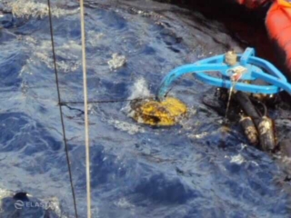 Weir skimmer for oil spill response
