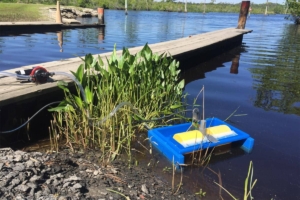 Mini Oil Spill Skimmer in pond