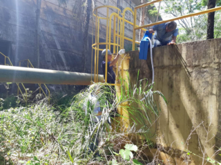 ミニスキマーピックアップ