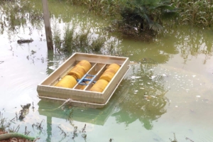 Oil skimmer in light oil