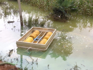 Oil skimmer in light oil