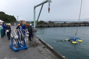 Sea Skater weir skimmer in Okinawa, Japan