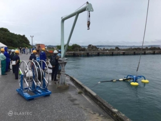 Sea Skater weir skimmer in Okinawa, Japan