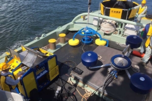SeaSkater weir skimmer in Japan
