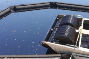 Skimming oil from water