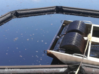 Skimming oil from water