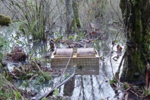 TDS118 oil skimmer in wetlands