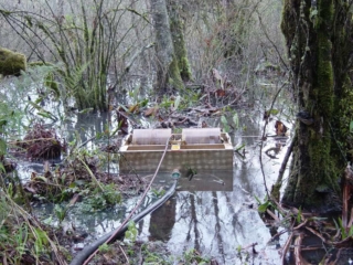 TDS118 oil skimmer in wetlands