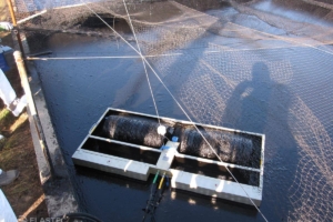 TDS136 skimmer with net in industrial pit
