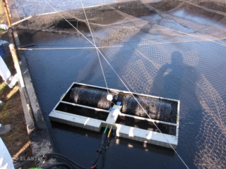 TDS136 skimmer with net in industrial pit