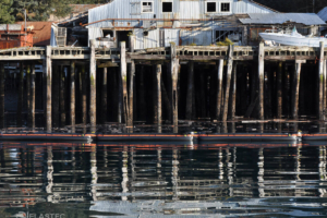 Floating water boom containing oil