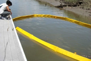 Economax containment boom in a swamp