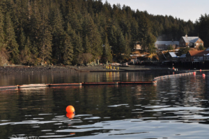 Inflatable oil containment boom in port