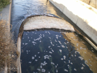 स्पेन में ऑप्टिमैक्स नियंत्रण में उछाल