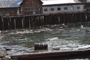 Rubbermax oil containment boom in port