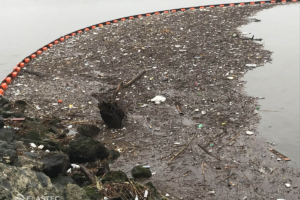 Trash and debris collection in California