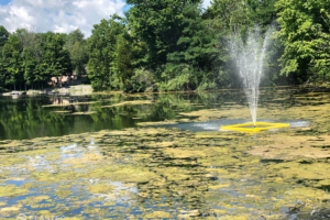 Containment boom for aquatic plant protection