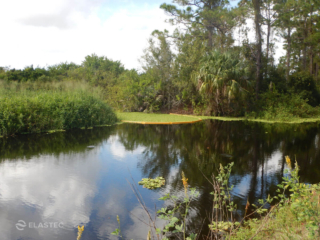 Elastec Super Stream aquatic plant