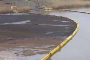 Drum oil skimmer and containment boom