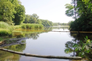Simplex oil spill boom in creek