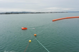 1M BoomVane in water