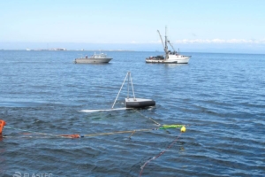 2M BoomVane with boom and ships in water