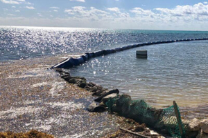 Aquatic plant and Sargassum barrier
