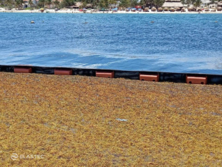 Barrier to stop Sargassum seaweed