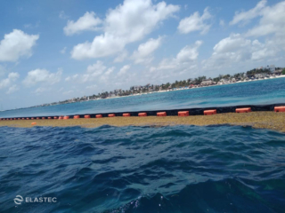 Floating Sargassum barrier
