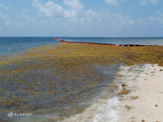 Floating seaweed barrier