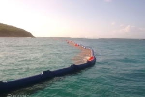 شاطئ الحارس وقف sargassum