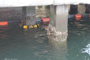 Tether system under dock
